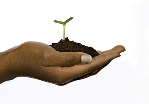 Sprout in hand